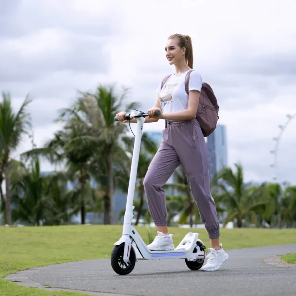 Great Electric Scooters