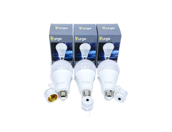 The Best  Bulbs